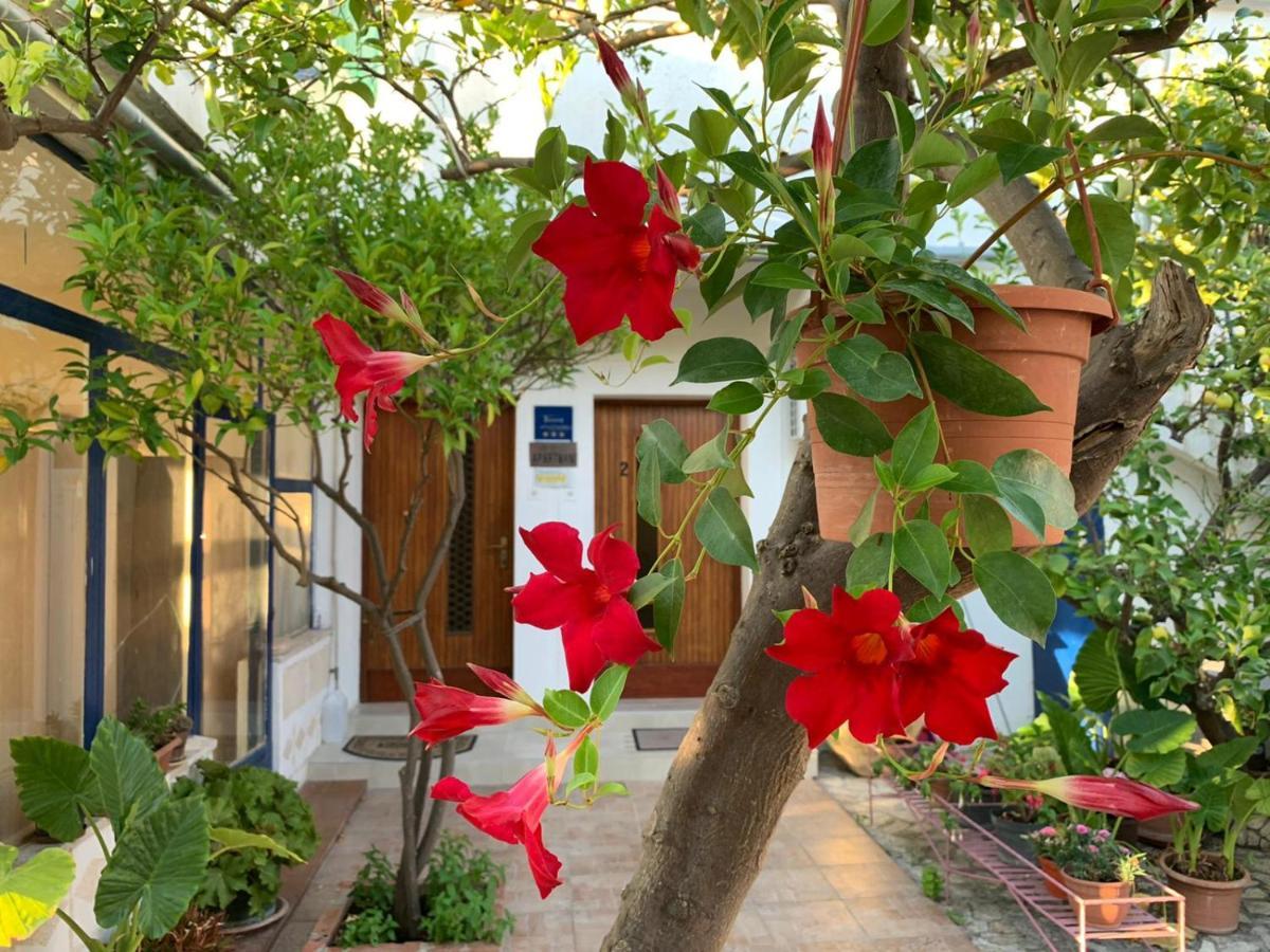 Danijela Apartment Mali Losinj Luaran gambar